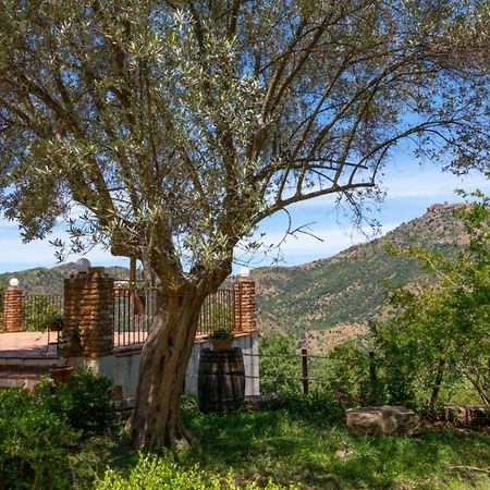 Casale Margherita Turismo Rurale 폴리나 외부 사진