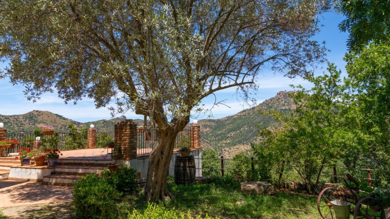 Casale Margherita Turismo Rurale 폴리나 외부 사진
