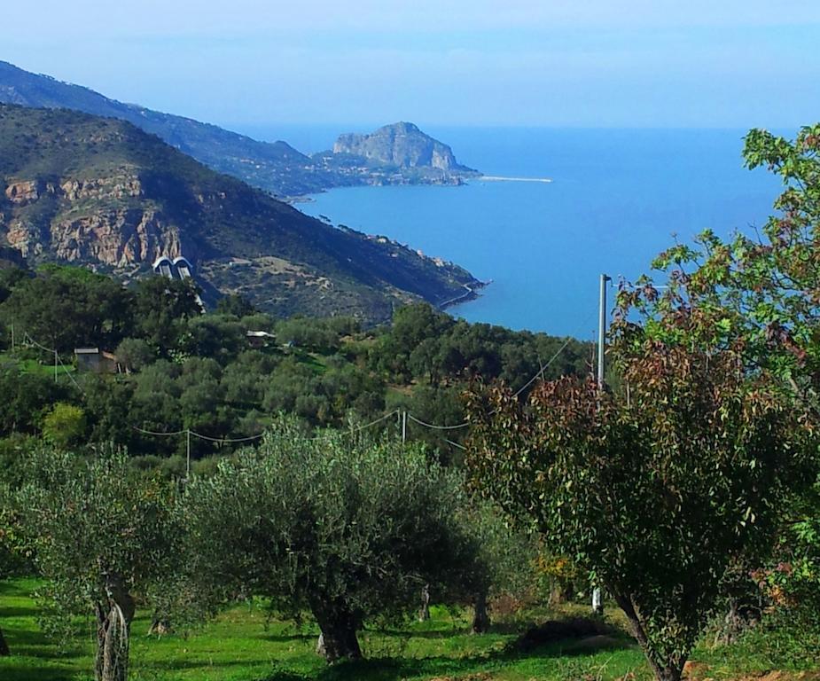 Casale Margherita Turismo Rurale 폴리나 외부 사진