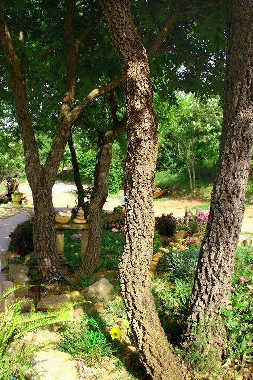 Casale Margherita Turismo Rurale 폴리나 외부 사진