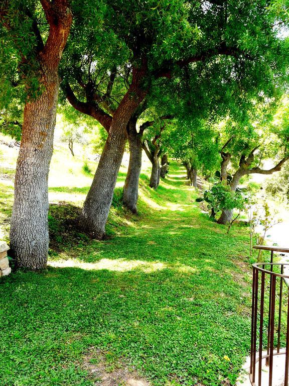 Casale Margherita Turismo Rurale 폴리나 외부 사진