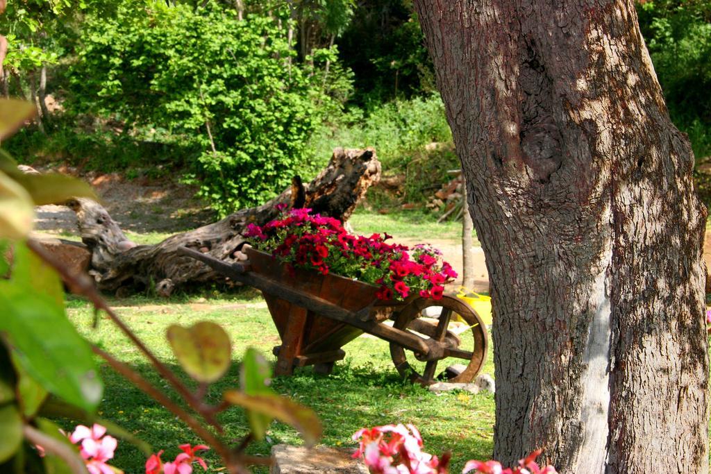 Casale Margherita Turismo Rurale 폴리나 외부 사진